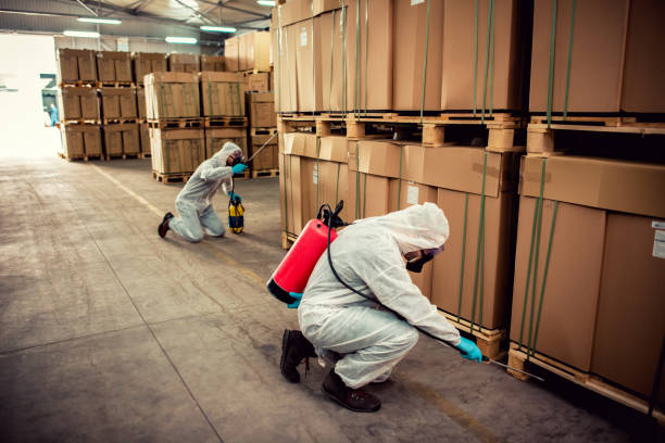 Best Best Pest Control Companies  in Derby, CT