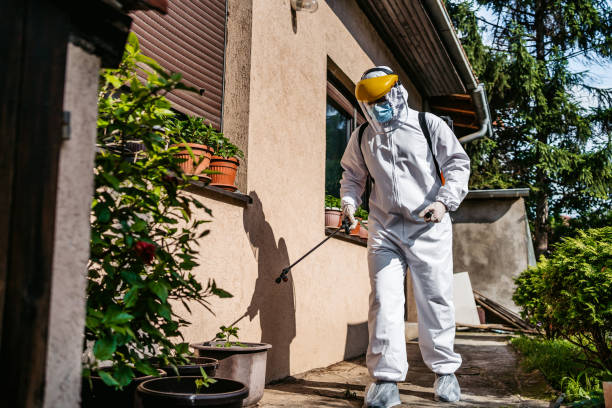 Pest Prevention Services in Derby, CT