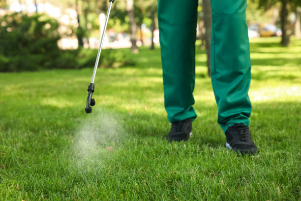 Best Emergency Pest Control  in Derby, CT