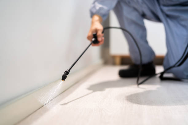 Best Pest Removal Services  in Derby, CT