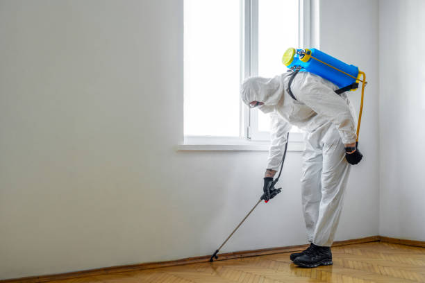 Best Best Pest Control Companies  in Derby, CT