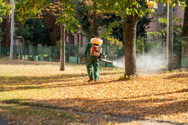 Best Pest Control Near Me  in Derby, CT